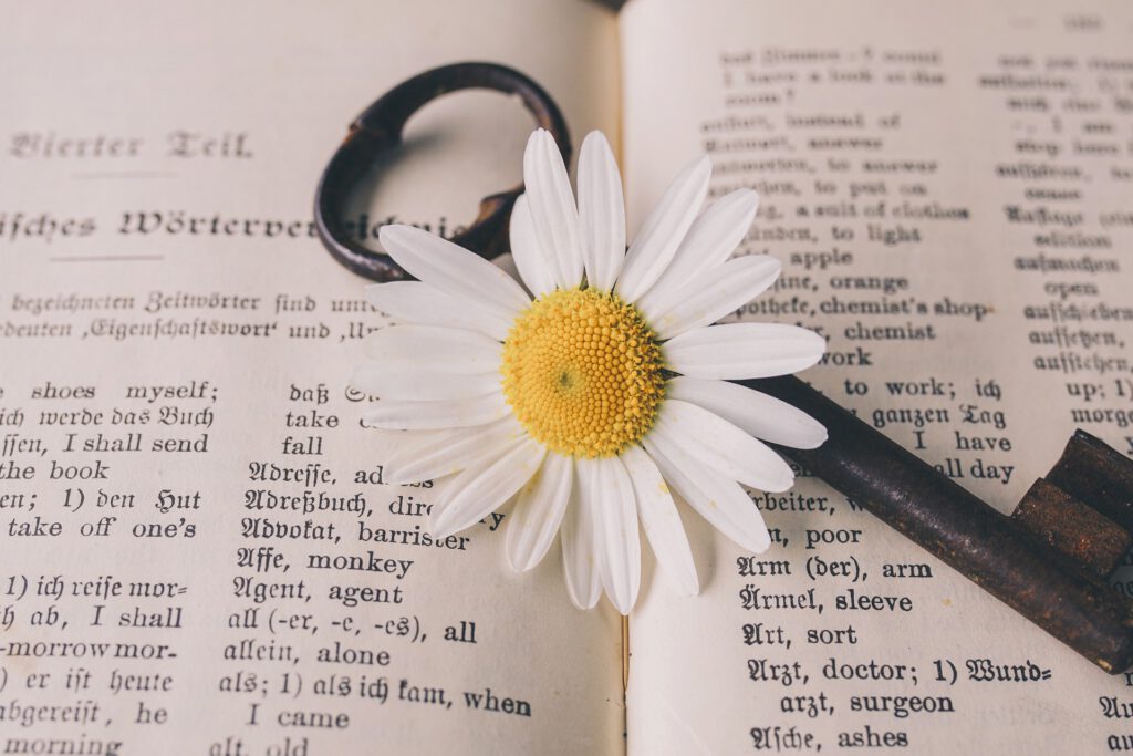 Eine Blume und ein Schlüssel auf einem geöffneten, alten Wörterbuch: Zum internationalen Tag der Übersetzer!
